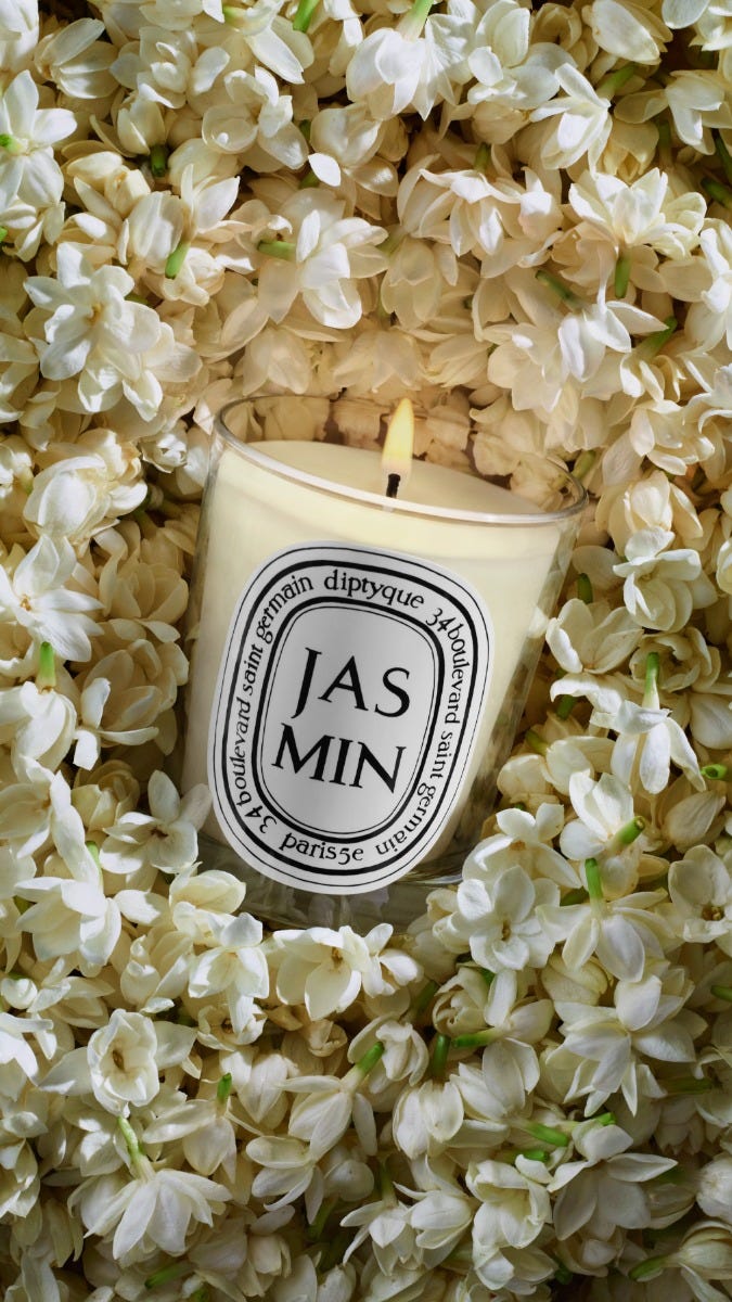 Jasmin (Jasmine) - Small candle | Diptyque Paris
