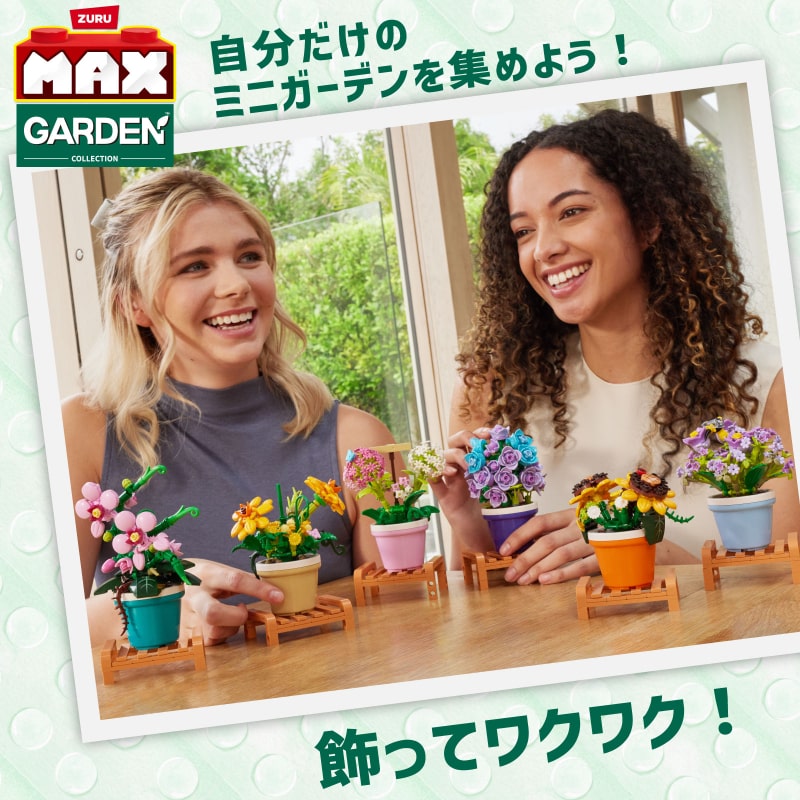 マックスプレミアム ガーデン ポットプラント : コチョウラン 169