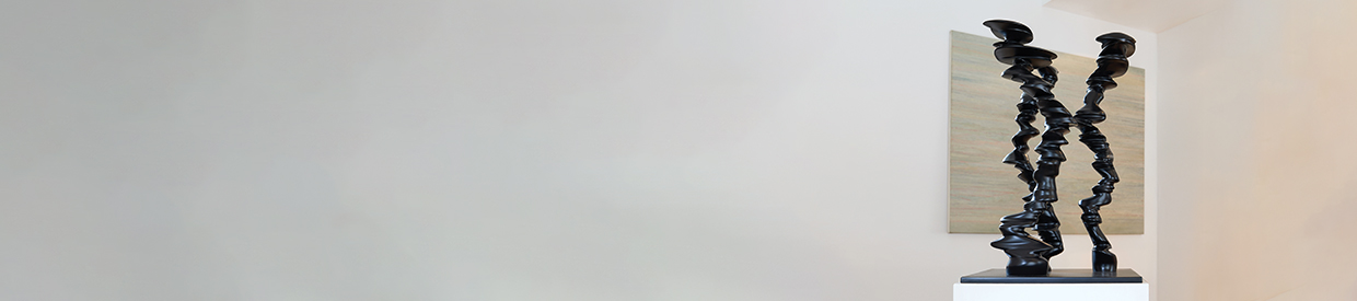 Tony Cragg: Pushing the Boundaries of Material and Form | Modern