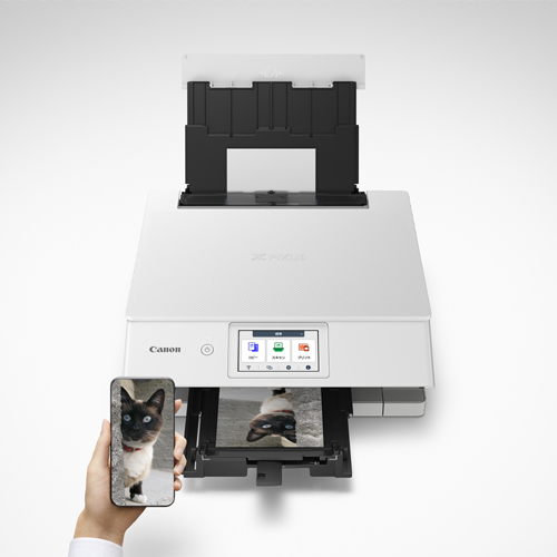 e-TREND｜キヤノン A4カラーインクジェット複合機 PIXUS TS8830 (ホワイト)