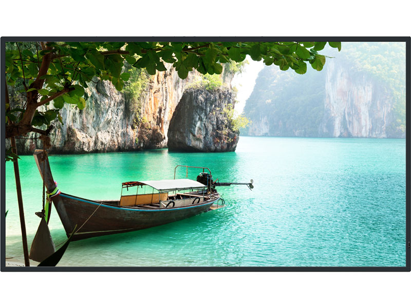 e-TREND｜パナソニック TH-55CQ2J [4K UHD液晶ディスプレイ 55V型]