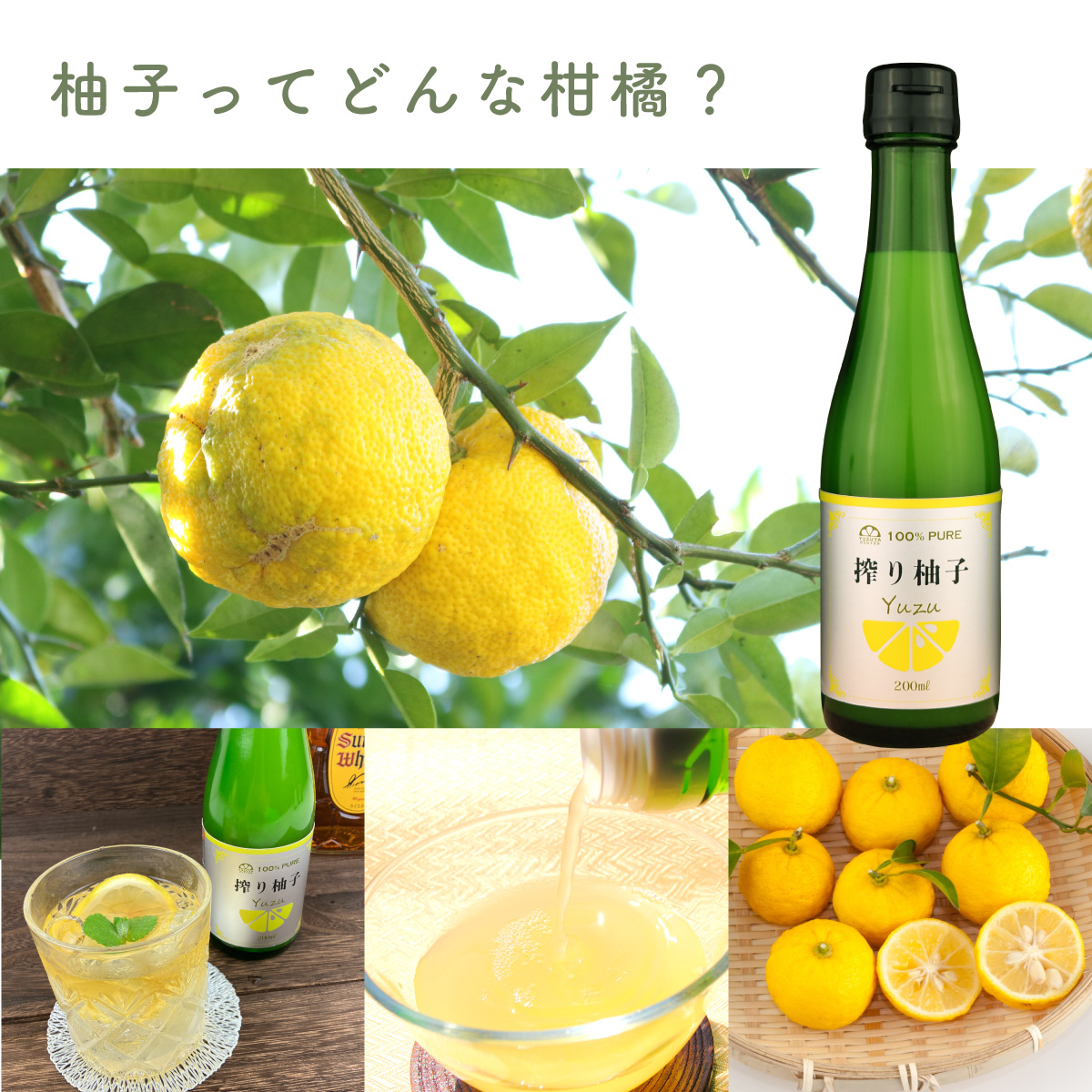 搾り柚子（ゆず果汁100％） | 柚子屋本店ONLINE STORE