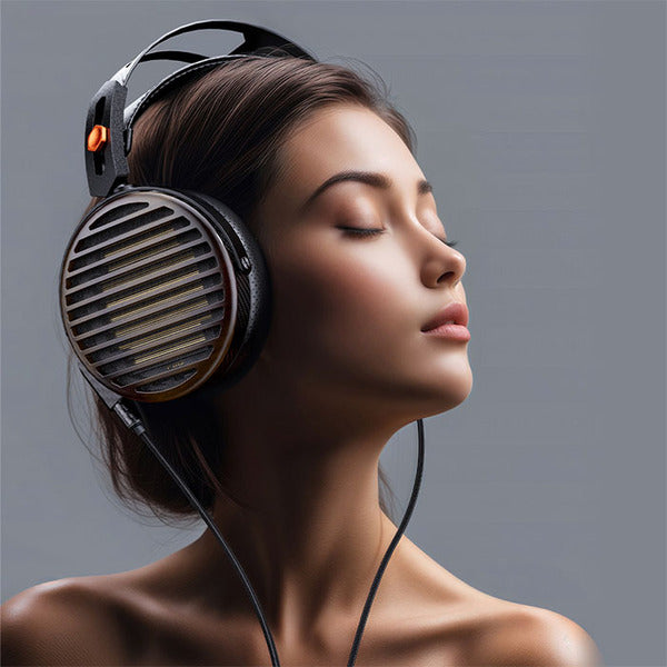 FIIO FT7 Black 【FIO-FT7-B】 – e☆イヤホン