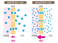 スキンケアなら「EC水素イオンジェル（Hydrogen Ion Gel