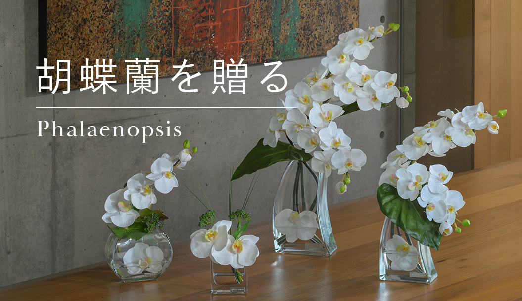 ファレノプシス(胡蝶蘭)のアーティフィシャルフラワー通販｜エミリオ