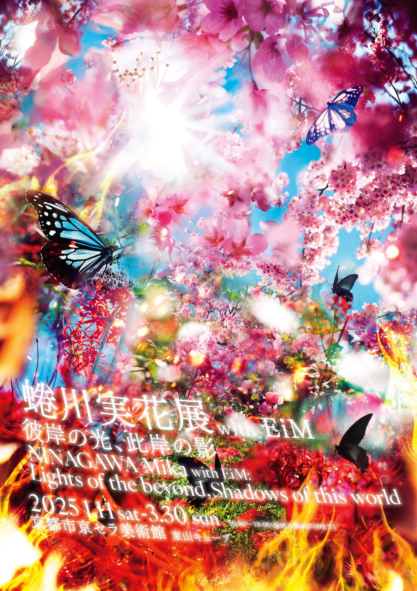 Kyoto Kimono Rental | Kimono Rental Kyoto & Kyoto Kimono