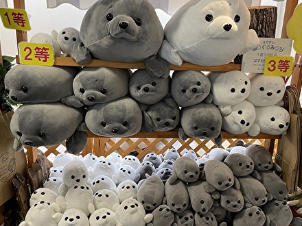 オッターショップ | ショップ | 新江ノ島水族館
