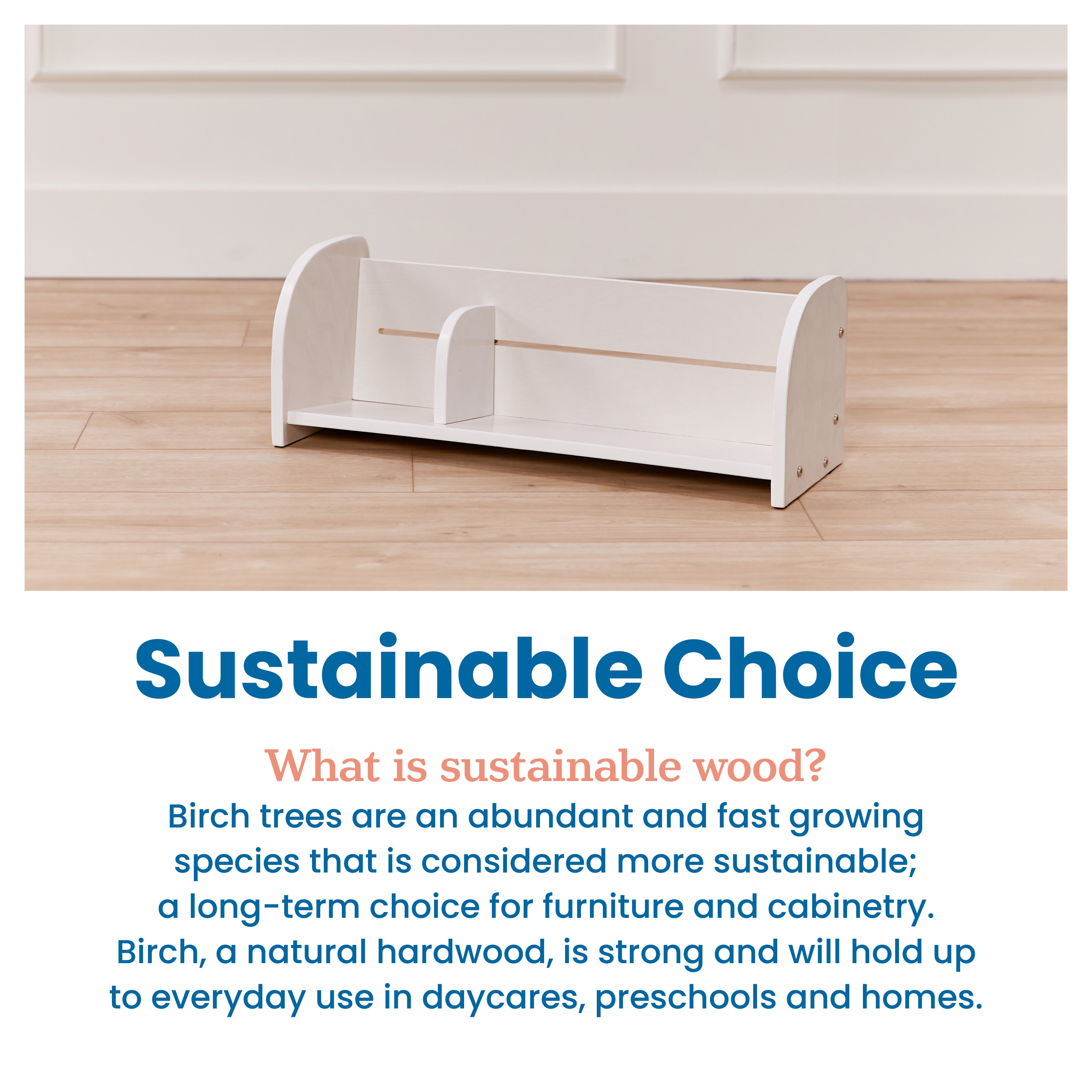 Adjustable Forward-Facing Tabletop Book Display
