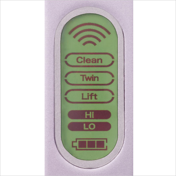 美顔器ツインエレナイザーPRO2 ホームエステDX グレイトセット|美顔器