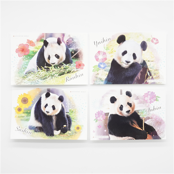 アドベンチャーワールド公式LIMEX製 パンダポストカード(良浜): 文房具