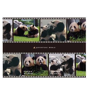 アドベンチャーワールド公式Panda Journey～しあわせの足あと