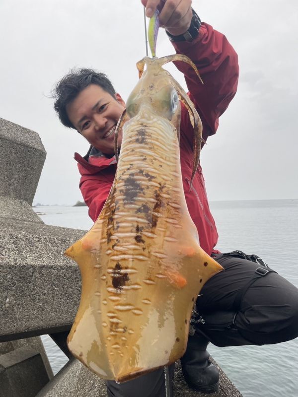 さかなさん さかなさん専用 専用 魚さん専用 さかな。さん専用 さかな