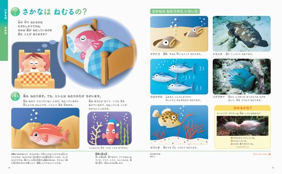 ふしぎの図鑑(小学館の子ども図鑑 プレNEO) | 白數 哲久 | 17件の