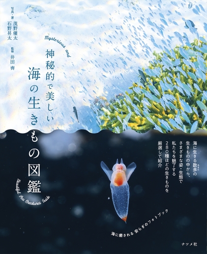 神秘的で美しい海の生きもの図鑑 | 茂野 優太,茂野 優太,石野 昇太