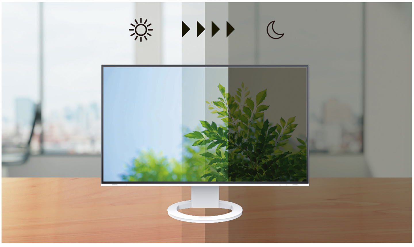 FlexScan EV2495 - 24.1