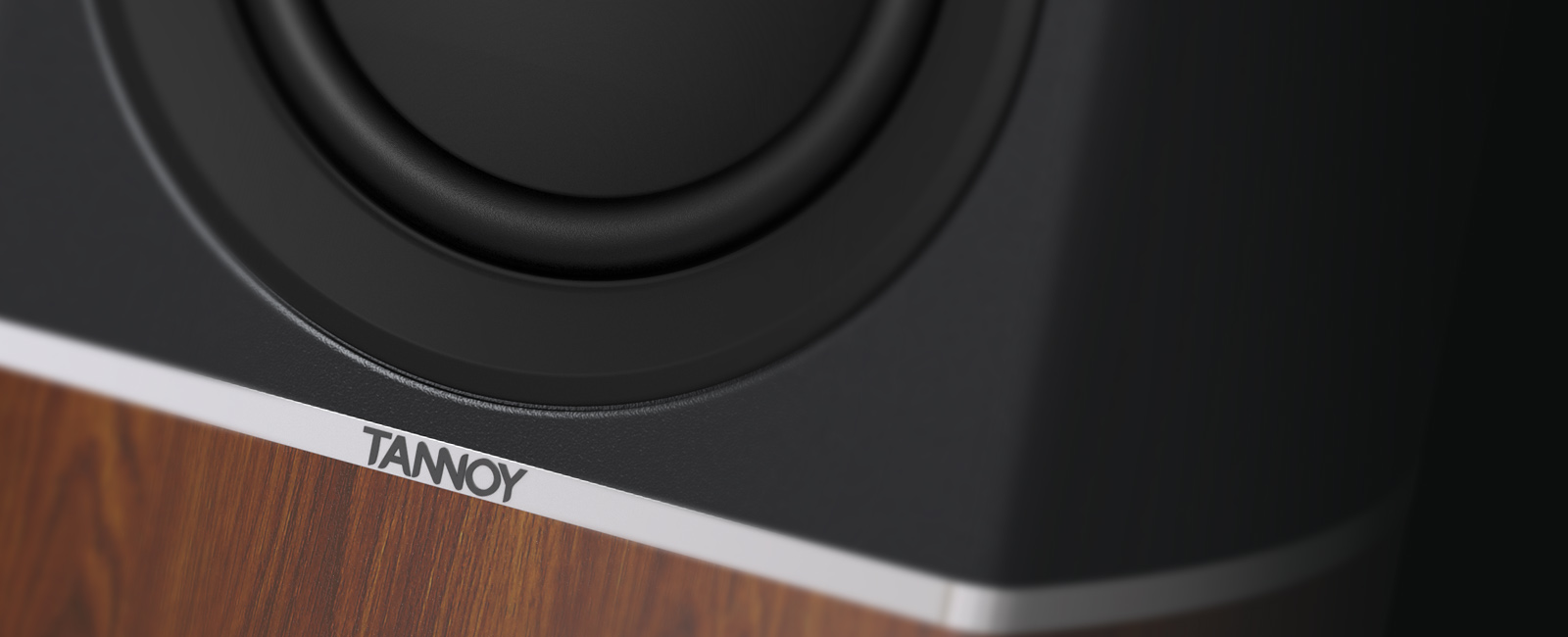 Tannoy Platinum B6 | 特長 | エソテリック：日本のハイエンド