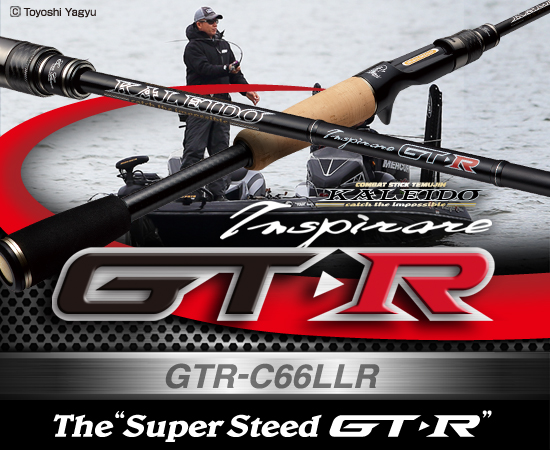 EVERGREEN（エバーグリーン インターナショナル） - GTR-C66LLR