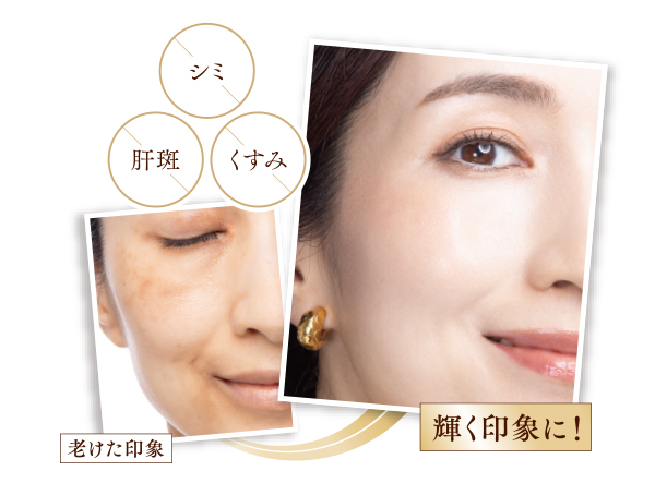 美・皇潤パーフェクト メッシュドW薬用ハイカバークッションコンパクト