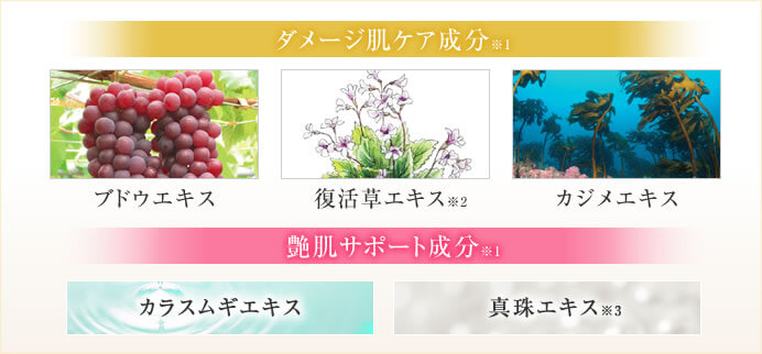 艶肌美人ナイトリフトマスク 単品 ｜【エバーライフ公式】通販サイト