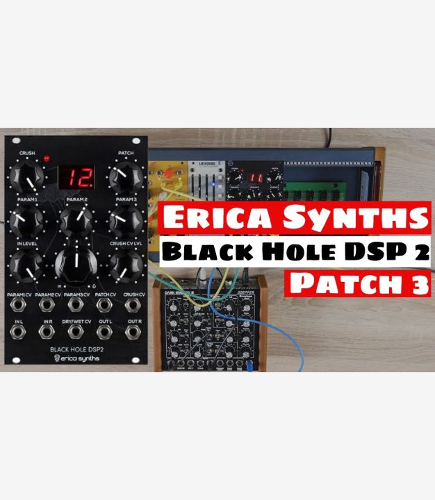 Black Hole DSP2 - Erica Synths