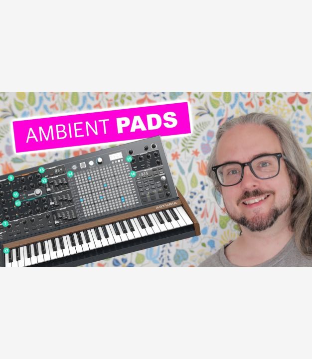 Black Hole DSP2 - Erica Synths