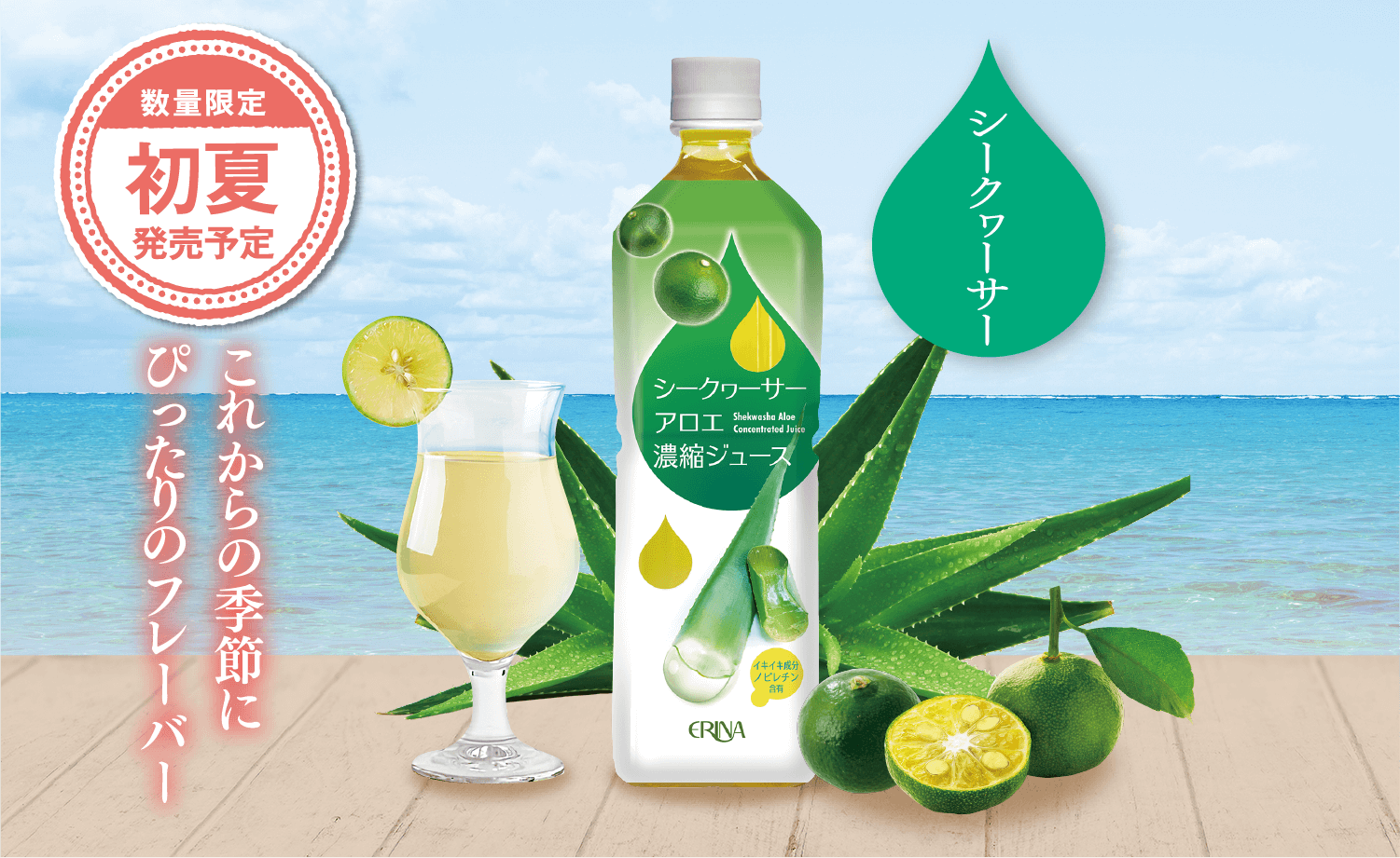 エリナについて｜株式会社エリナ