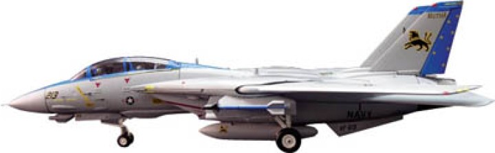 Witty Wings F-14D Tomcat VF-213 