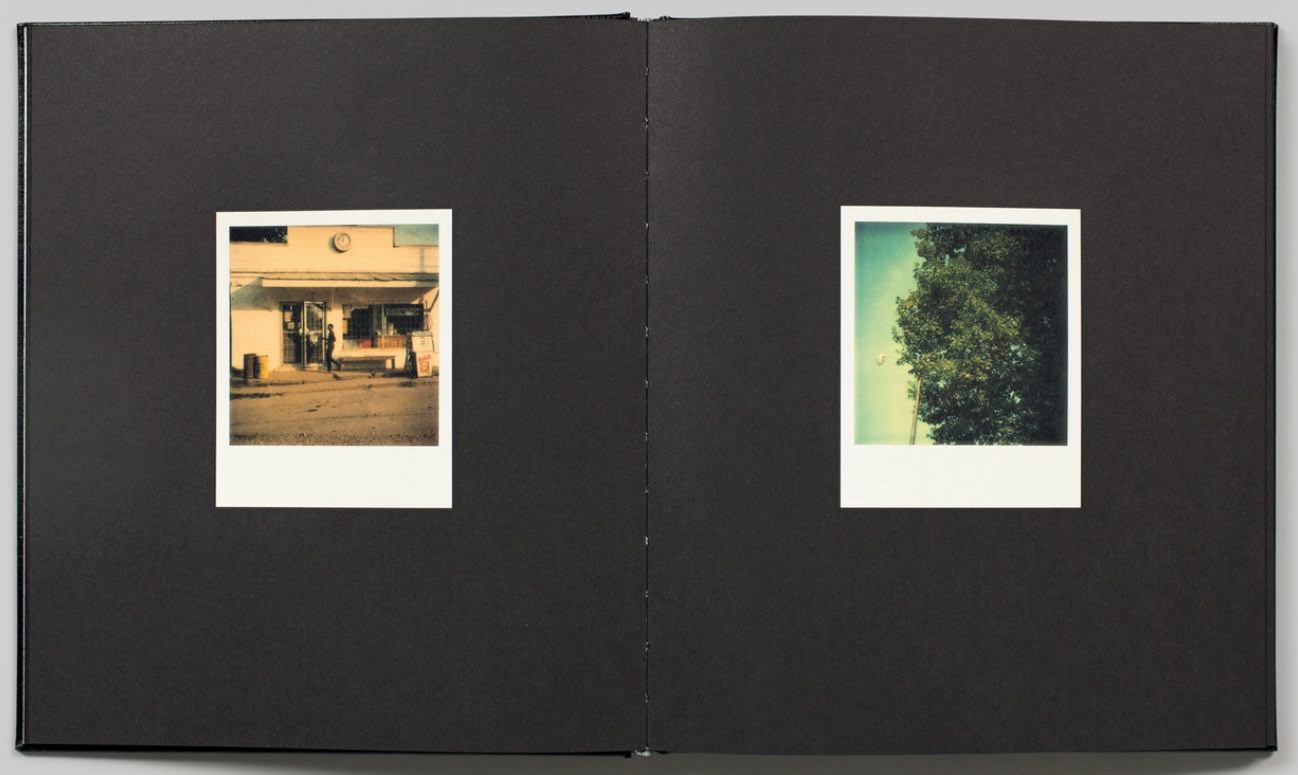 William Eggleston – Polaroid SX-70 - Exibart Street