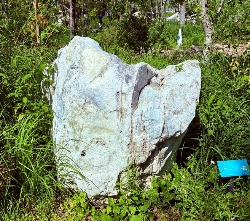 日本の国石 ヒスイ（翡翠）って知ってる？静けさの森でヒスイの原石に