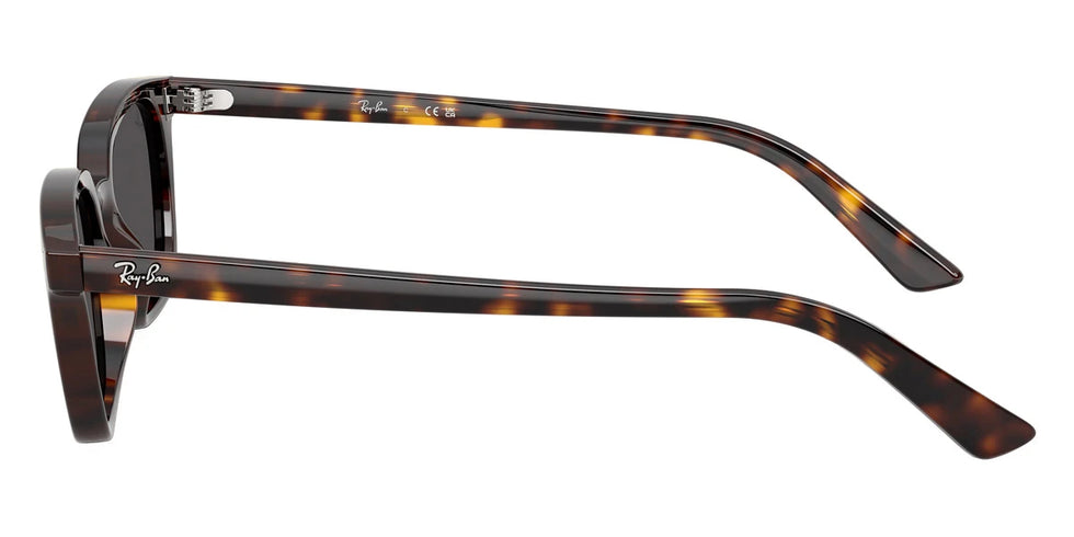 Ray-Ban® Zaya RB4456F Square Sunglasses | EyeOns.com