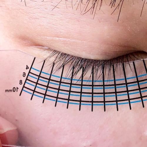 まつ毛スケール / 【テクニコ公式】まつ毛商材の仕入れ卸販売