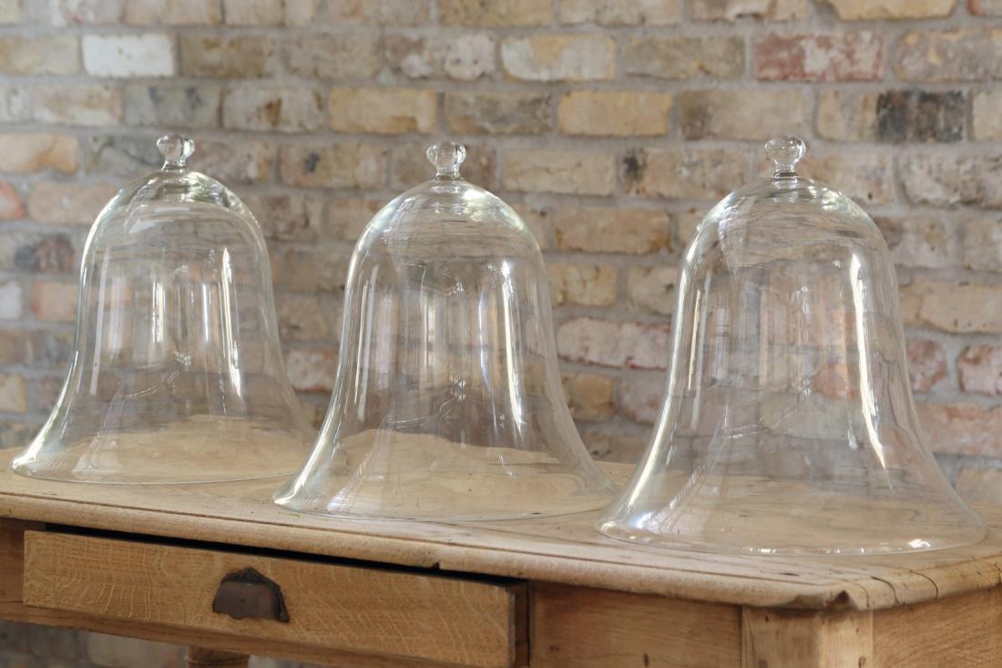 フランス アンティーク ガラスドーム – フランス、ヨーロッパの