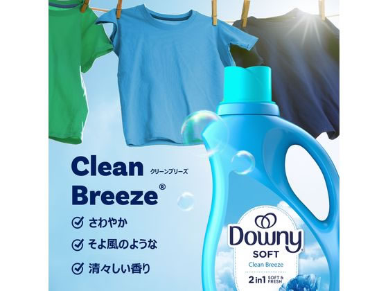 ダウニー ウルトラダウニー クリーンブリーズ 2.63L 通販【フォレスト