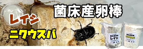 クワガタ・カブトムシ飼育用品（菌糸ビン・飼育マットなど）の販売