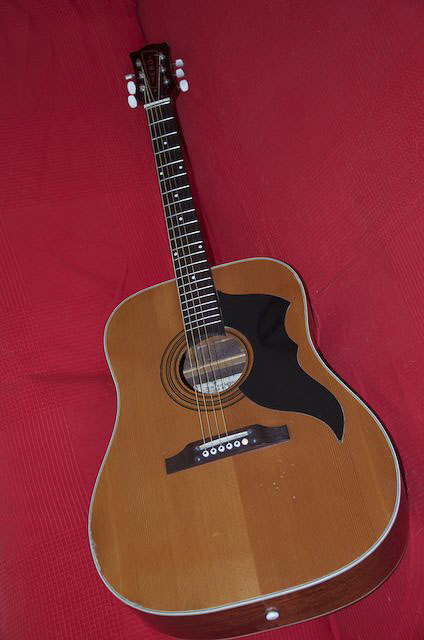 Eko Ranger – Fetishguitars.com