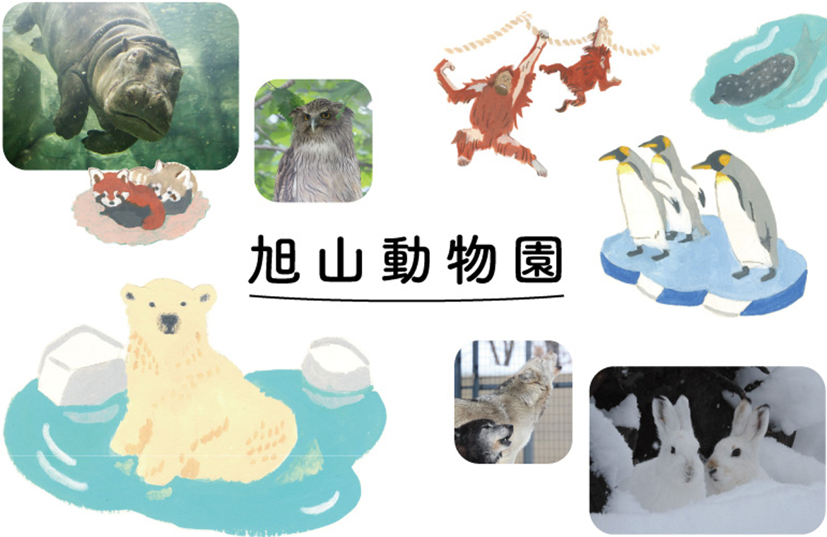 海洋堂 旭山動物園 ガチャガチャ フィギュア 旭山動物園公式グッズ