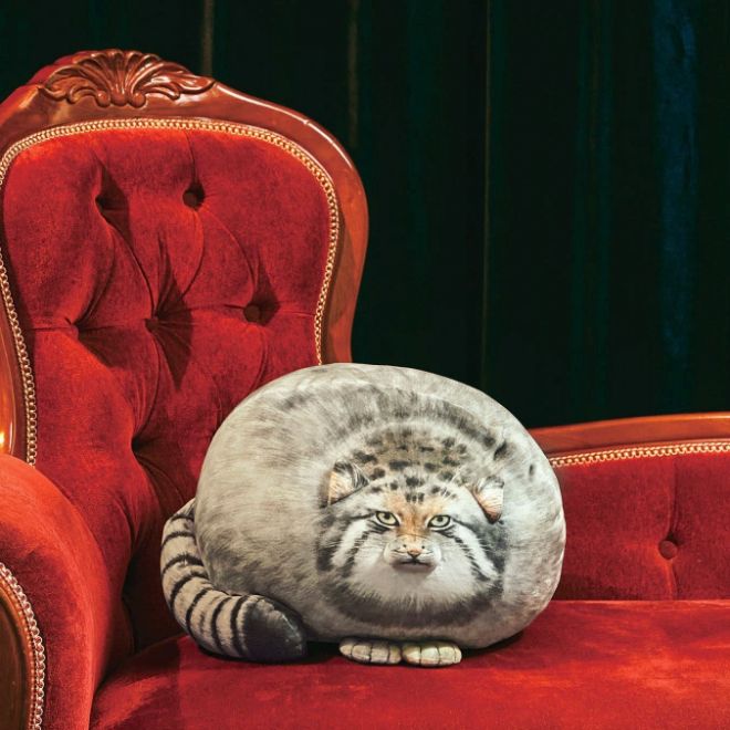 YOU+MORE! 丸すぎる世界最古の猫 マヌルネコもっちりクッション