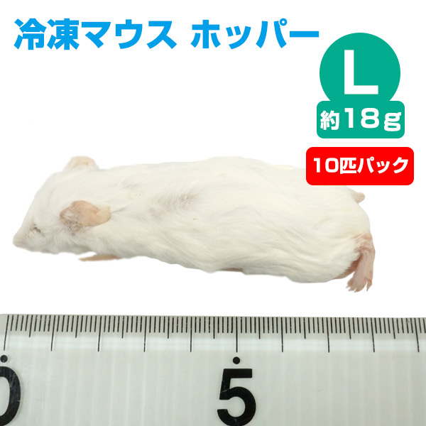 冷凍】冷凍マウス ホッパー Lサイズ（約18g）10匹パック（T2）【クール