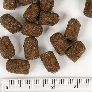 マズリ フェレットダイエット 350g【オールステージ】 フェレット