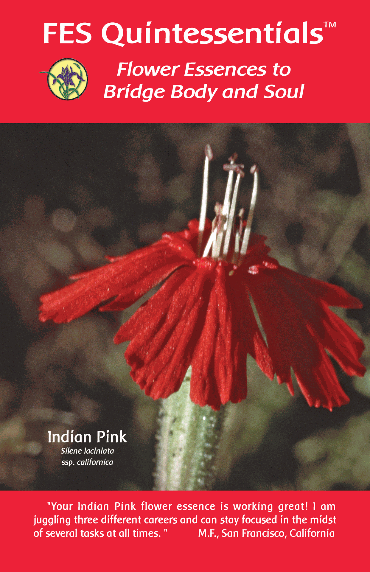 quintessentials | Flower Essence Services