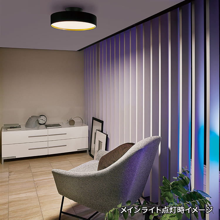 AW-0555E(BK/LW) アートワークスタジオ製シーリングライト