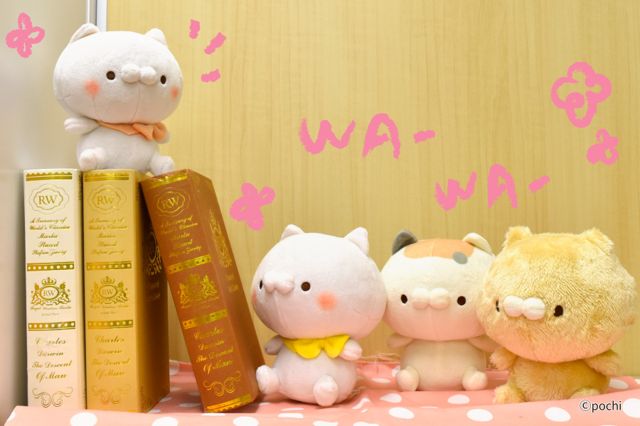 SNSで大人気の「こどもにゃんこ」「となりのにゃんこ」がプライズに