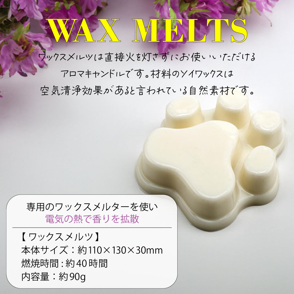WAXMELTS_2_1000x.jpg?v=1697440987