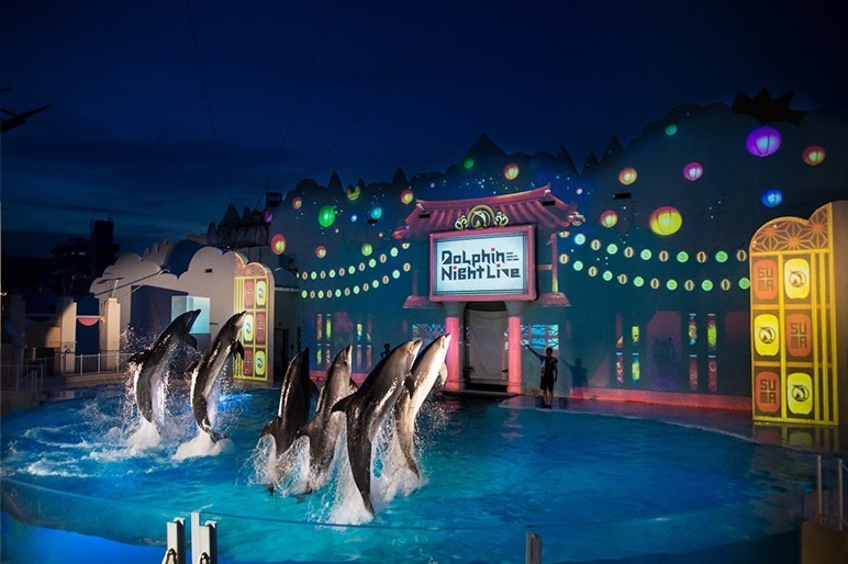 神戸・須磨海浜水族園のナイトアクアリウム、光と織りなす切り絵アート