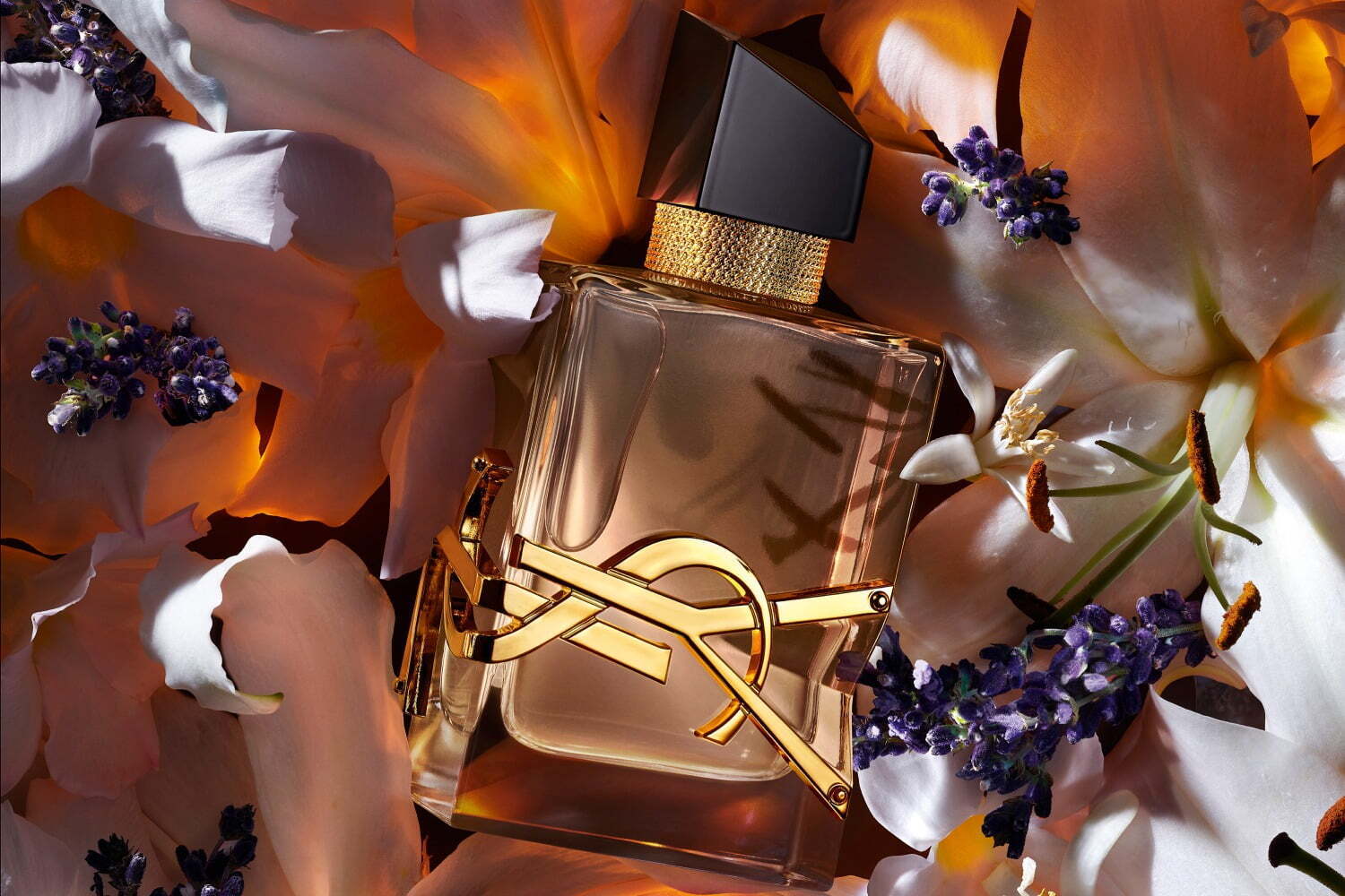 イヴ・サンローラン「リブレ」24年冬フレグランス、“燃え上がる花々