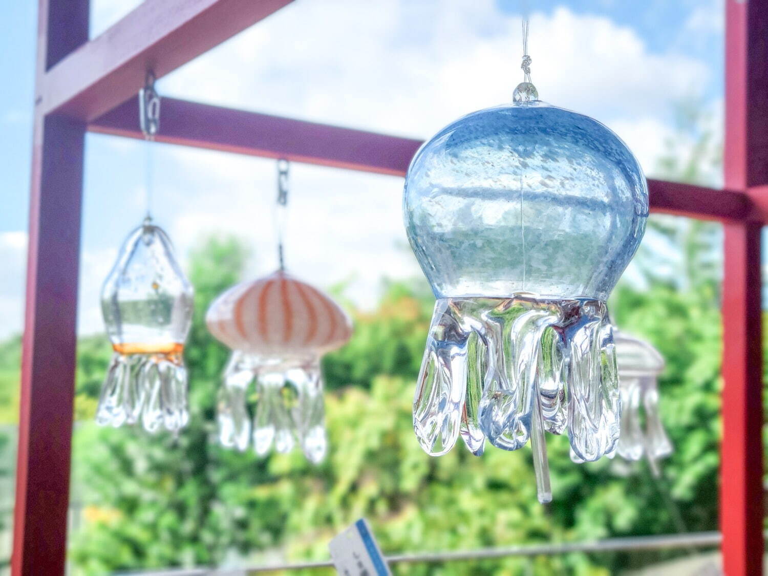 ガラスの「クラゲ風鈴」揺らめく夏イベントが京都水族館で、京和傘の