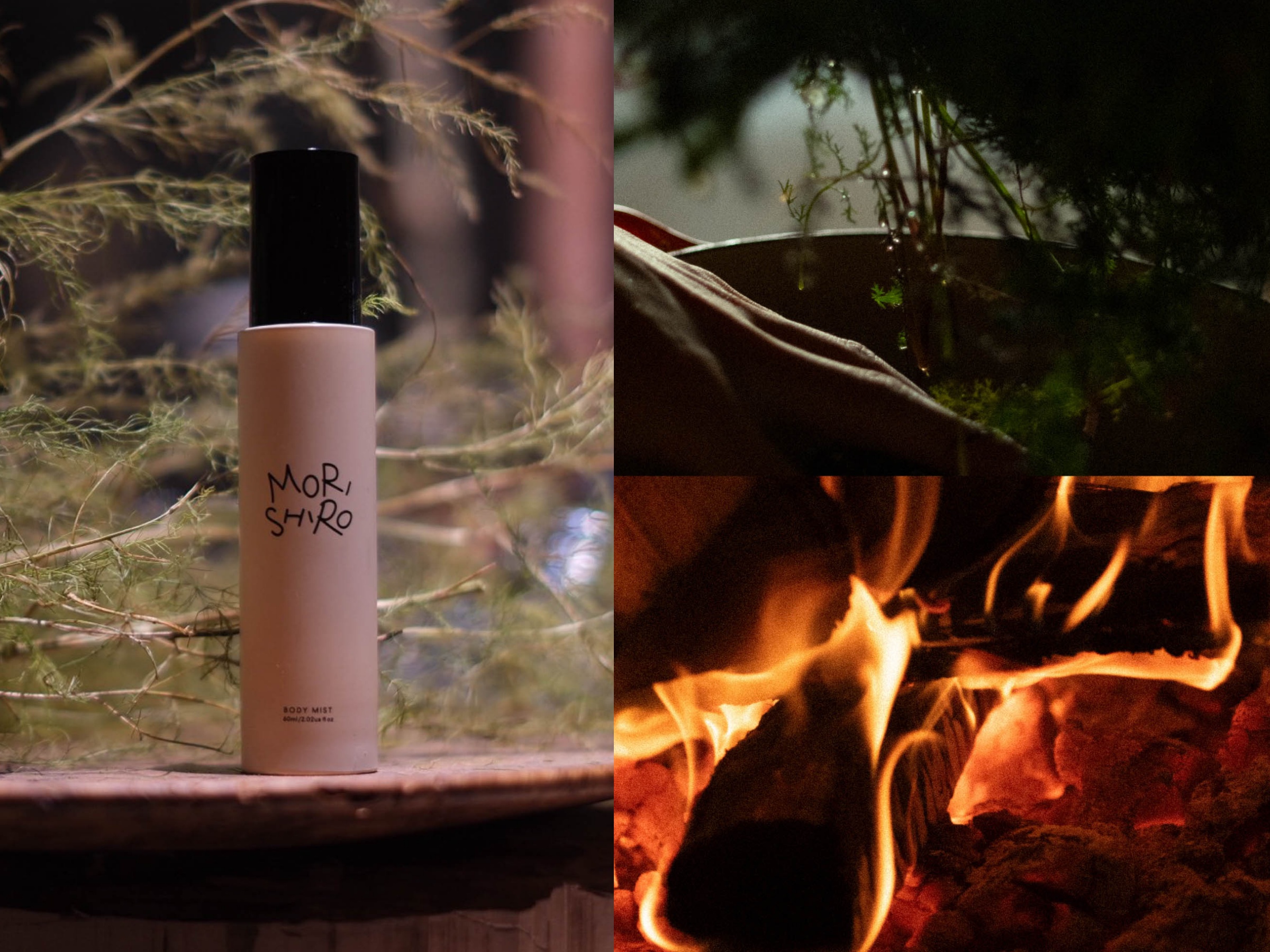 シロ」の限定フレグランス「ブラックチェリー」が復刻 ハンド美容液と