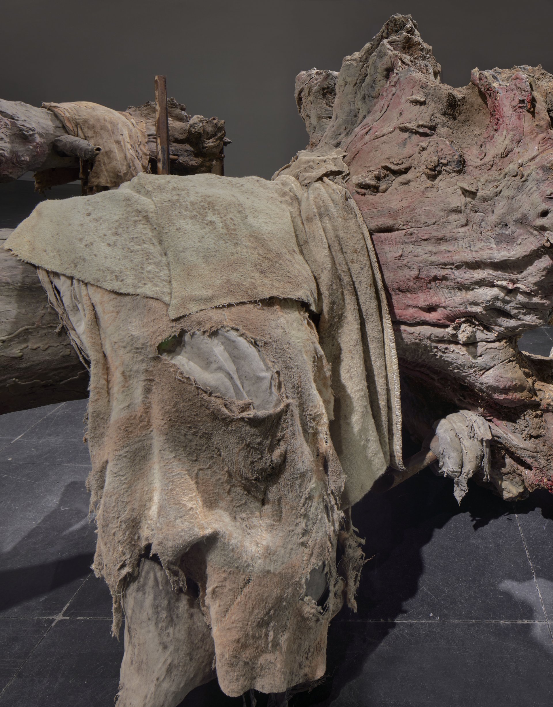 Berlinde De Bruyckere | Frankfurter Kunstverein