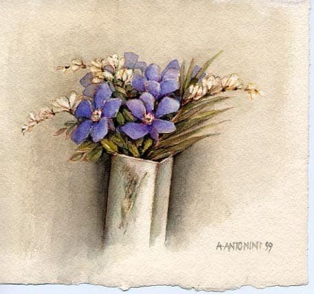 Annapia Antonini | Gallery Works | Fitch-Febvrel Gallery