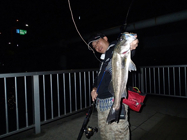 BAY SIDE DIARY】 エクリプスロッドの使い分け（SPD編）